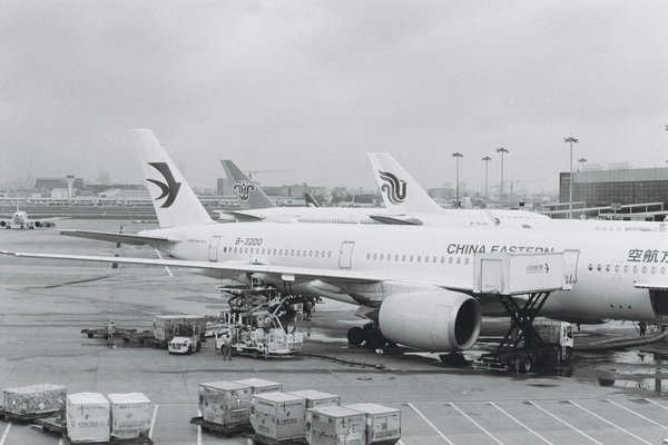 Key features to seek in brighton holiday rentals for an unforgettable pride festival experience